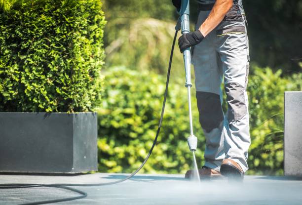 Best Driveway Pressure Washing  in Harlem Heights, FL