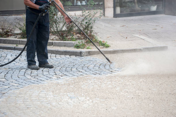 Best Boat and Dock Cleaning  in Harlem Heights, FL
