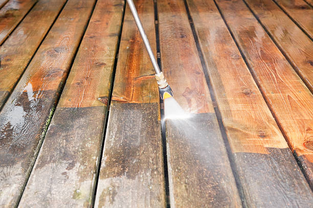 Best Solar Panel Cleaning  in Harlem Heights, FL