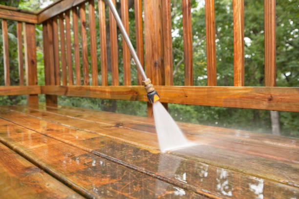 Best Soft Washing  in Harlem Heights, FL