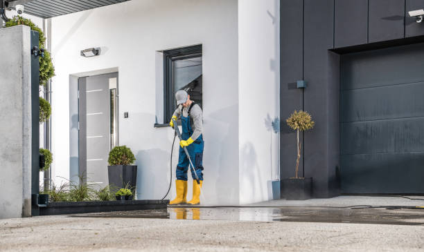 Best Fleet Vehicle Washing  in Harlem Heights, FL